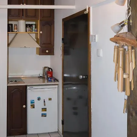 Mini Rest Apartment *